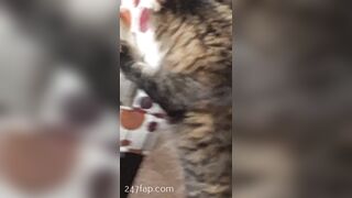 Sofie Addotta Asian Chinese Amateur Porn Video 40