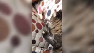 Sofie Addotta Asian Chinese Amateur Porn Video 40