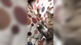 Sofie Addotta Asian Chinese Amateur Porn Video 40