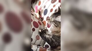 Sofie Addotta Asian Chinese Amateur Porn Video 40