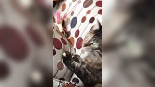 Sofie Addotta Asian Chinese Amateur Porn Video 40