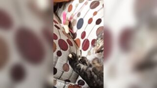 Sofie Addotta Asian Chinese Amateur Porn Video 40