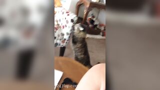 Sofie Addotta Asian Chinese Amateur Porn Video 40