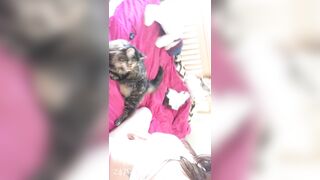 Sofie Addotta Asian Chinese Amateur Porn Video 29