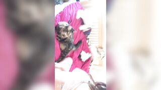 Sofie Addotta Asian Chinese Amateur Porn Video 29