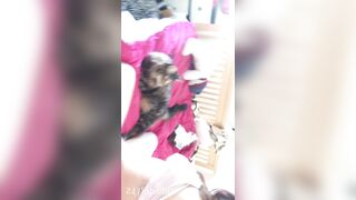 Sofie Addotta Asian Chinese Amateur Porn Video 29