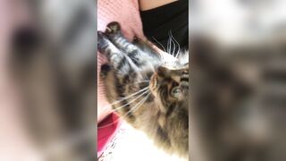 Sofie Addotta Asian Chinese Amateur Porn Video 95