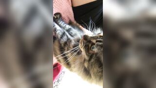 Sofie Addotta Asian Chinese Amateur Porn Video 95