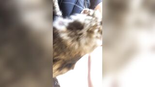 Sofie Addotta Asian Chinese Amateur Porn Video 95