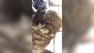 Sofie Addotta Asian Chinese Amateur Porn Video 95