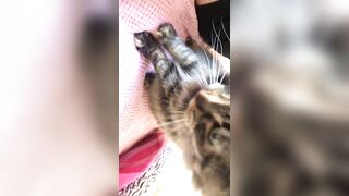 Sofie Addotta Asian Chinese Amateur Porn Video 95