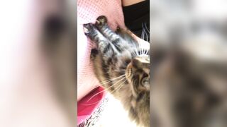 Sofie Addotta Asian Chinese Amateur Porn Video 95