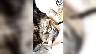 Sofie Addotta Asian Chinese Amateur Porn Video 43