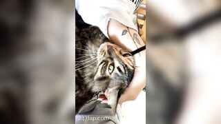 Sofie Addotta Asian Chinese Amateur Porn Video 43