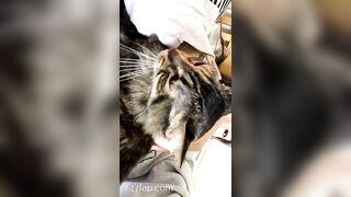 Sofie Addotta Asian Chinese Amateur Porn Video 43