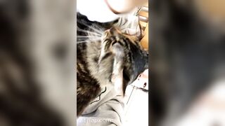 Sofie Addotta Asian Chinese Amateur Porn Video 43