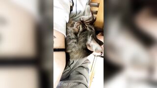 Sofie Addotta Asian Chinese Amateur Porn Video 43