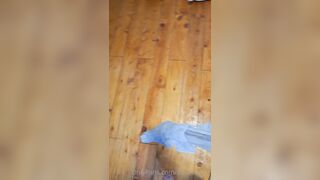 Sarahlashe (Sarah Lashe) OnlyFans Leaks Dark Haired Girl from Quebec 8