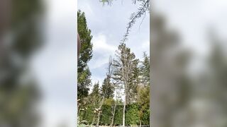 Nakedbakers (Naked Bakers) OnlyFans Leaks nakedbakerstv Blondie Babe Porn Video 74