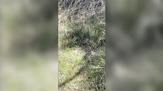 Kebabs0verabs aka Rebecca aka Kebabs OnlyFans Leaks Seinfeld Australian Babe 103