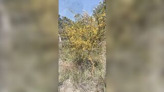 Kebabs0verabs aka Rebecca aka Kebabs OnlyFans Leaks Seinfeld Australian Babe 103