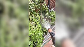 Kebabs0verabs aka Rebecca aka Kebabs OnlyFans Leaks Seinfeld Australian Babe 31