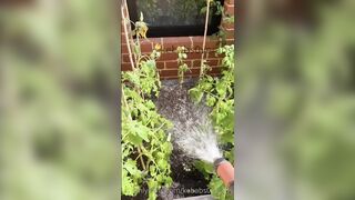 Kebabs0verabs aka Rebecca aka Kebabs OnlyFans Leaks Seinfeld Australian Babe 31