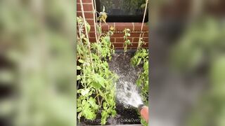 Kebabs0verabs aka Rebecca aka Kebabs OnlyFans Leaks Seinfeld Australian Babe 31