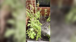 Kebabs0verabs aka Rebecca aka Kebabs OnlyFans Leaks Seinfeld Australian Babe 31