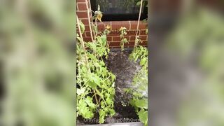 Kebabs0verabs aka Rebecca aka Kebabs OnlyFans Leaks Seinfeld Australian Babe 31