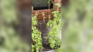 Kebabs0verabs aka Rebecca aka Kebabs OnlyFans Leaks Seinfeld Australian Babe 31