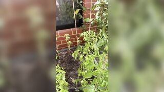 Kebabs0verabs aka Rebecca aka Kebabs OnlyFans Leaks Seinfeld Australian Babe 31