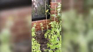 Kebabs0verabs aka Rebecca aka Kebabs OnlyFans Leaks Seinfeld Australian Babe 31