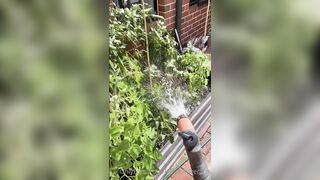 Kebabs0verabs aka Rebecca aka Kebabs OnlyFans Leaks Seinfeld Australian Babe 31