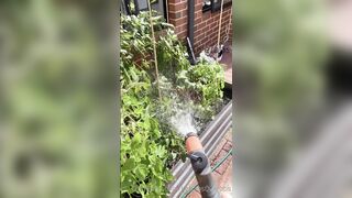 Kebabs0verabs aka Rebecca aka Kebabs OnlyFans Leaks Seinfeld Australian Babe 31