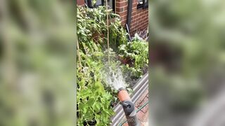 Kebabs0verabs aka Rebecca aka Kebabs OnlyFans Leaks Seinfeld Australian Babe 31