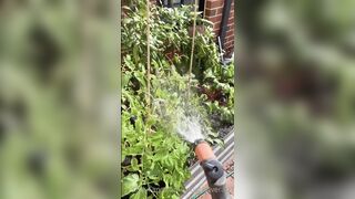 Kebabs0verabs aka Rebecca aka Kebabs OnlyFans Leaks Seinfeld Australian Babe 31