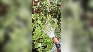 Kebabs0verabs aka Rebecca aka Kebabs OnlyFans Leaks Seinfeld Australian Babe 31