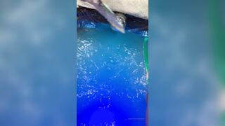 ButteryBubbleButt (Brittany Benz) brittanybenz_ OnlyFans Leaks Cam Girl Salam Habibi is a Good Girl Gone Bad 110