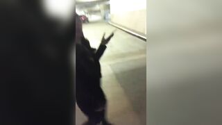 Ashleylucero (Ashley Lucero) OnlyFans Leaks Huge Boobs Porn Star Video 12