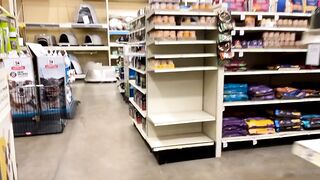 Kittyautumnmeow (Tittty aka kittyboston) OnlyFans Leaks Kitty Autumn assasssssssssssssin Porn 167