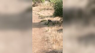 Olivewood (Olive Wood aka OliveWoodMFC) OnlyFans Leaks Red Head Slut is Horny Porn Video 588