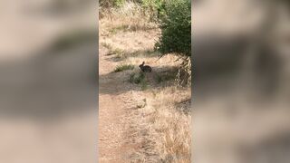 Olivewood (Olive Wood aka OliveWoodMFC) OnlyFans Leaks Red Head Slut is Horny Porn Video 588