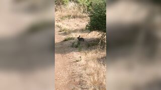 Olivewood (Olive Wood aka OliveWoodMFC) OnlyFans Leaks Red Head Slut is Horny Porn Video 588