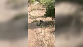 Olivewood (Olive Wood aka OliveWoodMFC) OnlyFans Leaks Red Head Slut is Horny Porn Video 588