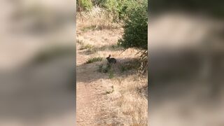 Olivewood (Olive Wood aka OliveWoodMFC) OnlyFans Leaks Red Head Slut is Horny Porn Video 588