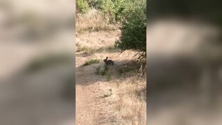 Olivewood (Olive Wood aka OliveWoodMFC) OnlyFans Leaks Red Head Slut is Horny Porn Video 588