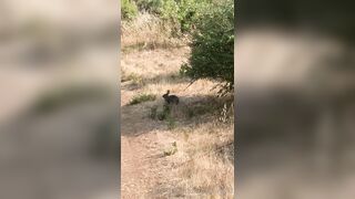 Olivewood (Olive Wood aka OliveWoodMFC) OnlyFans Leaks Red Head Slut is Horny Porn Video 588