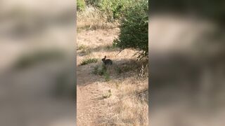 Olivewood (Olive Wood aka OliveWoodMFC) OnlyFans Leaks Red Head Slut is Horny Porn Video 588