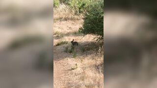 Olivewood (Olive Wood aka OliveWoodMFC) OnlyFans Leaks Red Head Slut is Horny Porn Video 588